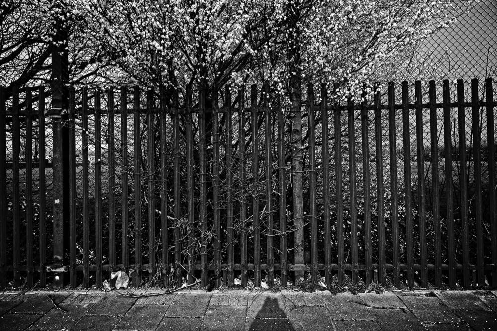 Stacks Image 2703