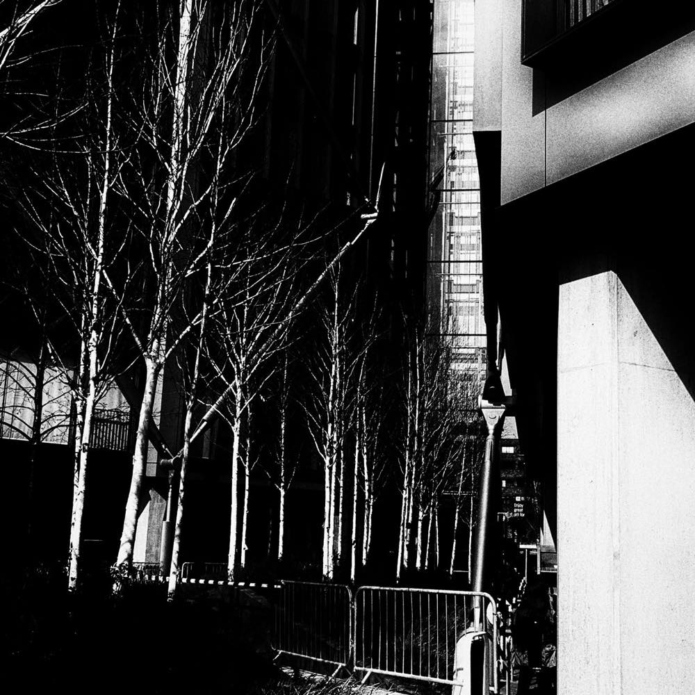 Stacks Image 2604